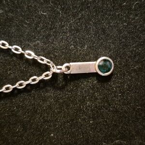 Sapphireskies Designs Sterling & Resin Charm Necklace